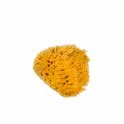 Premium Sea Wool Sponge